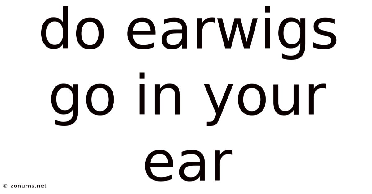 Do Earwigs Go In Your Ear