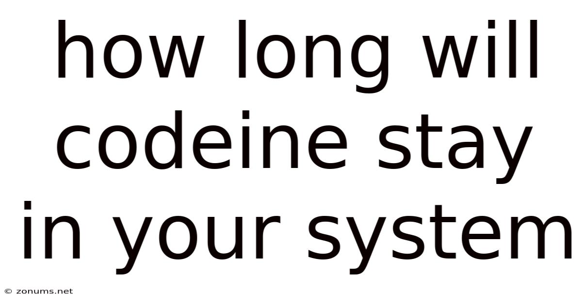 How Long Will Codeine Stay In Your System