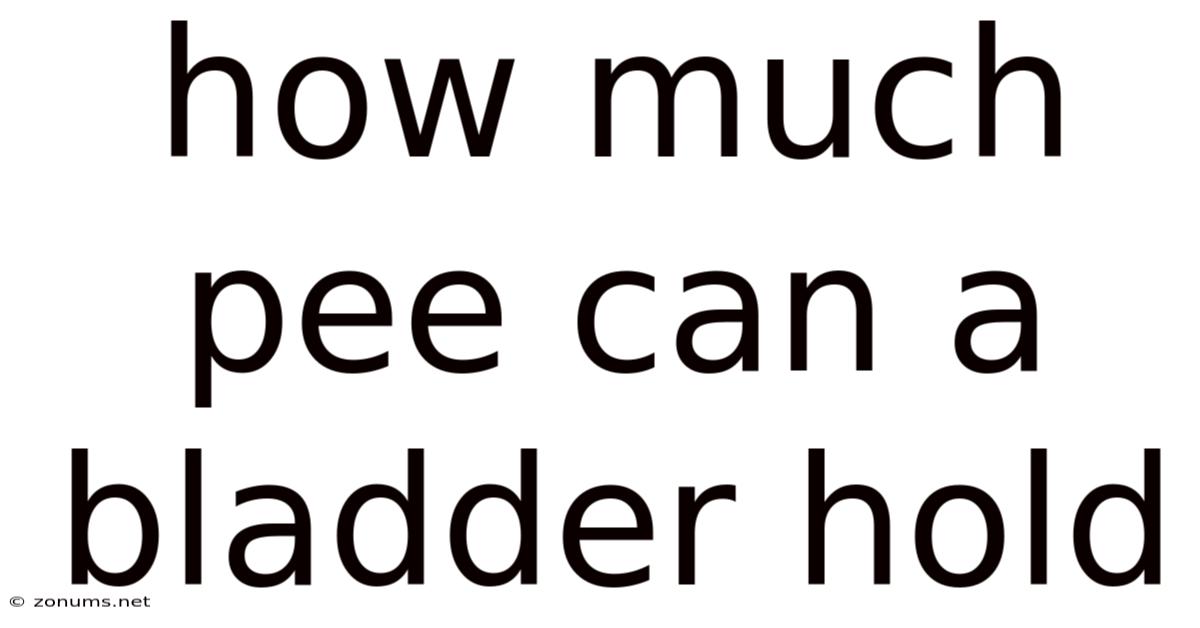 How Much Pee Can A Bladder Hold
