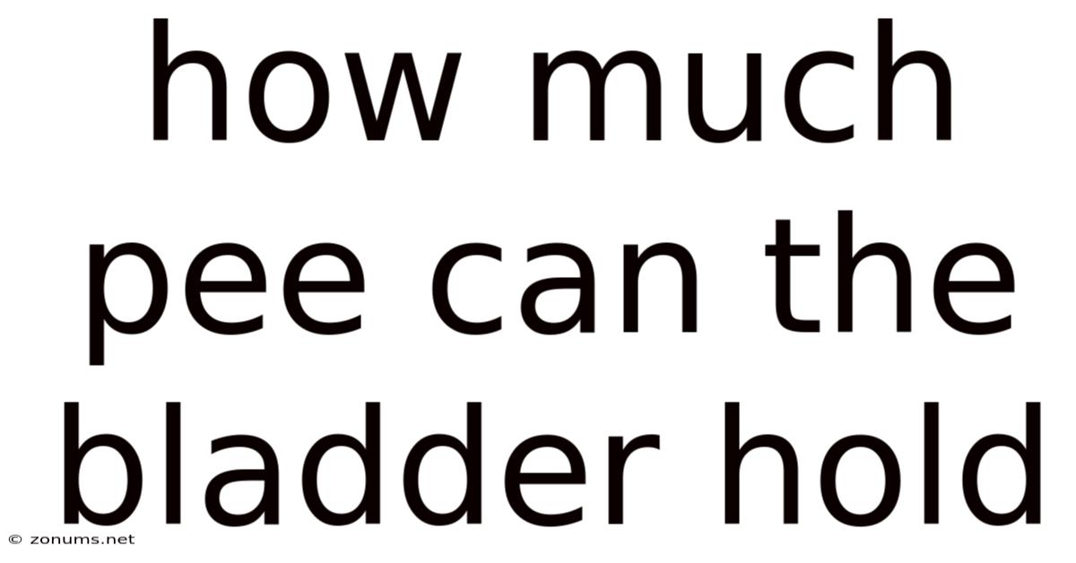 How Much Pee Can The Bladder Hold