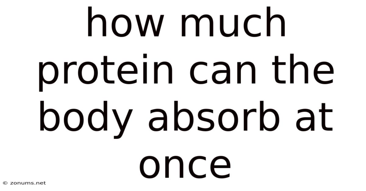 How Much Protein Can The Body Absorb At Once