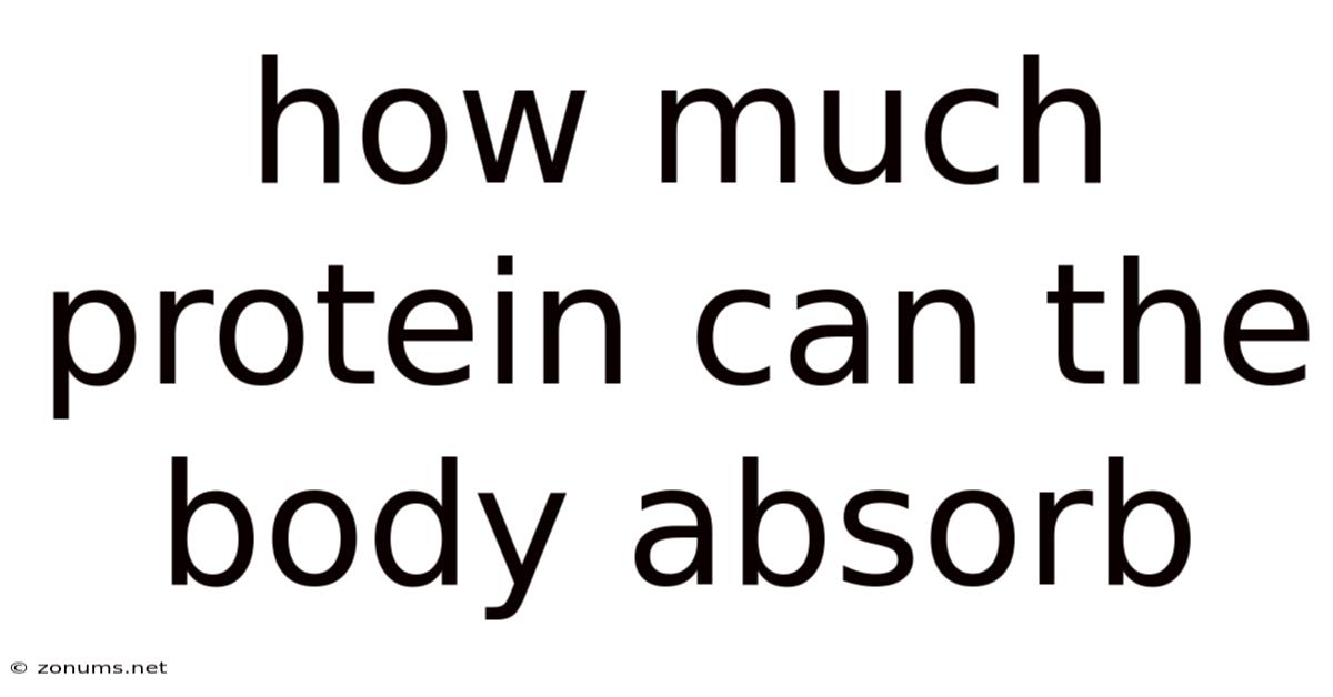 How Much Protein Can The Body Absorb