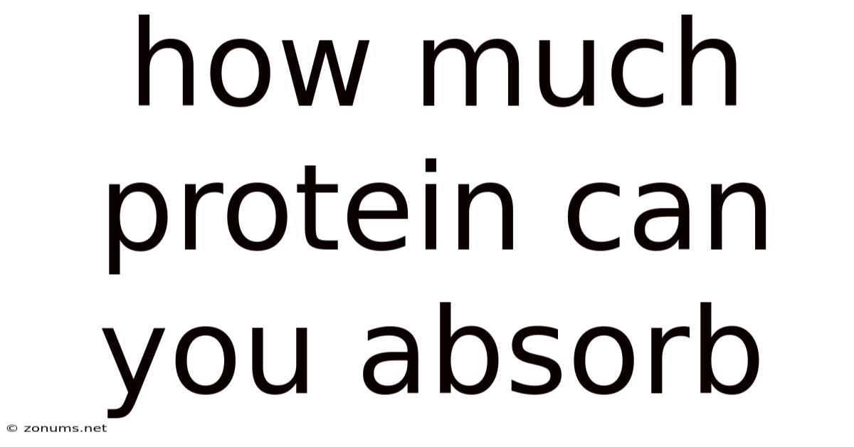 How Much Protein Can You Absorb