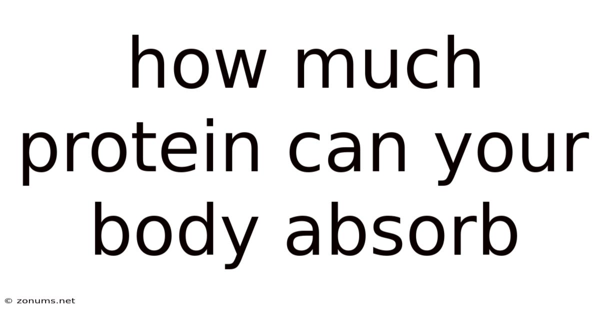 How Much Protein Can Your Body Absorb