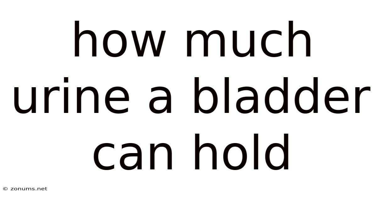 How Much Urine A Bladder Can Hold