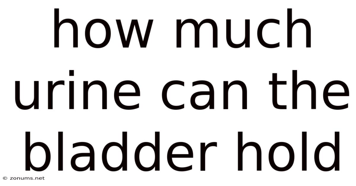 How Much Urine Can The Bladder Hold
