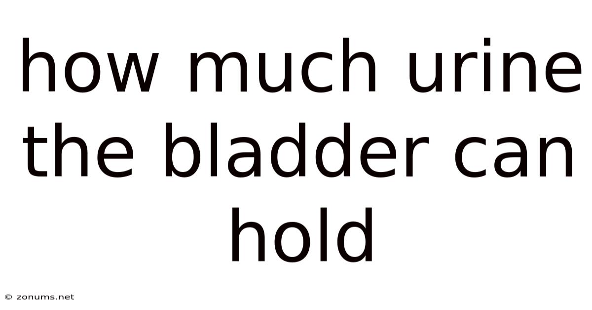 How Much Urine The Bladder Can Hold