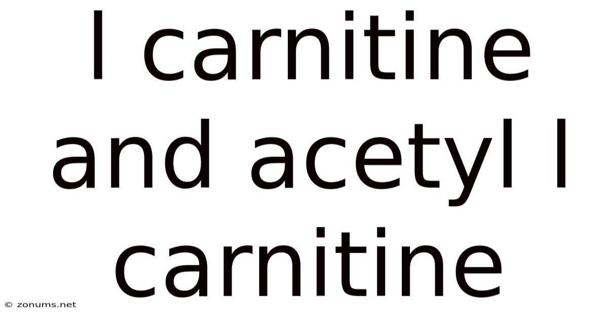 L Carnitine And Acetyl L Carnitine