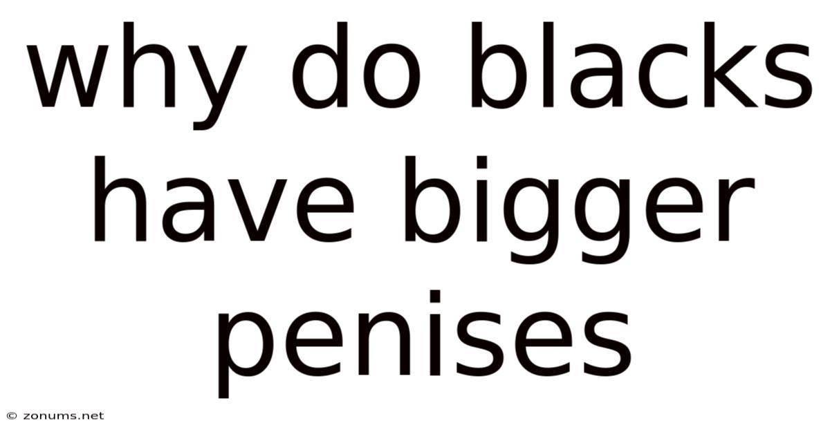 Why Do Blacks Have Bigger Penises